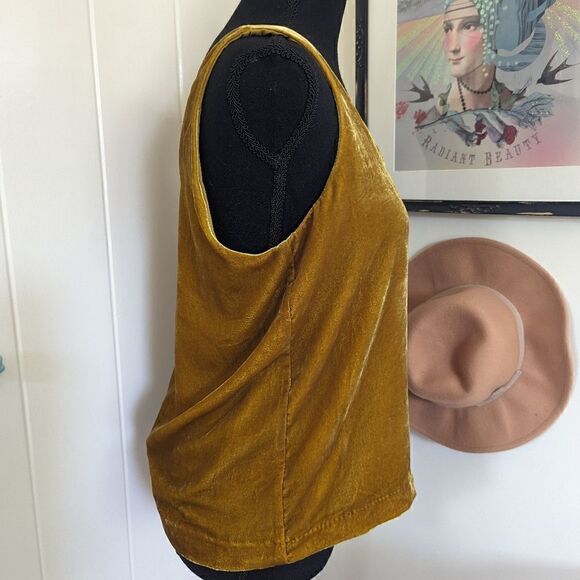 J. Crew Vintage Gold Pullover Sleeveless Velvet Top 6 Coastal Cowgirl Boho - Picture 8 of 15